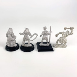 Wild Warriors