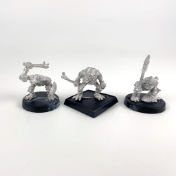 Guerriers Grenouilles
