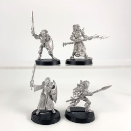 Guerriers Elfes