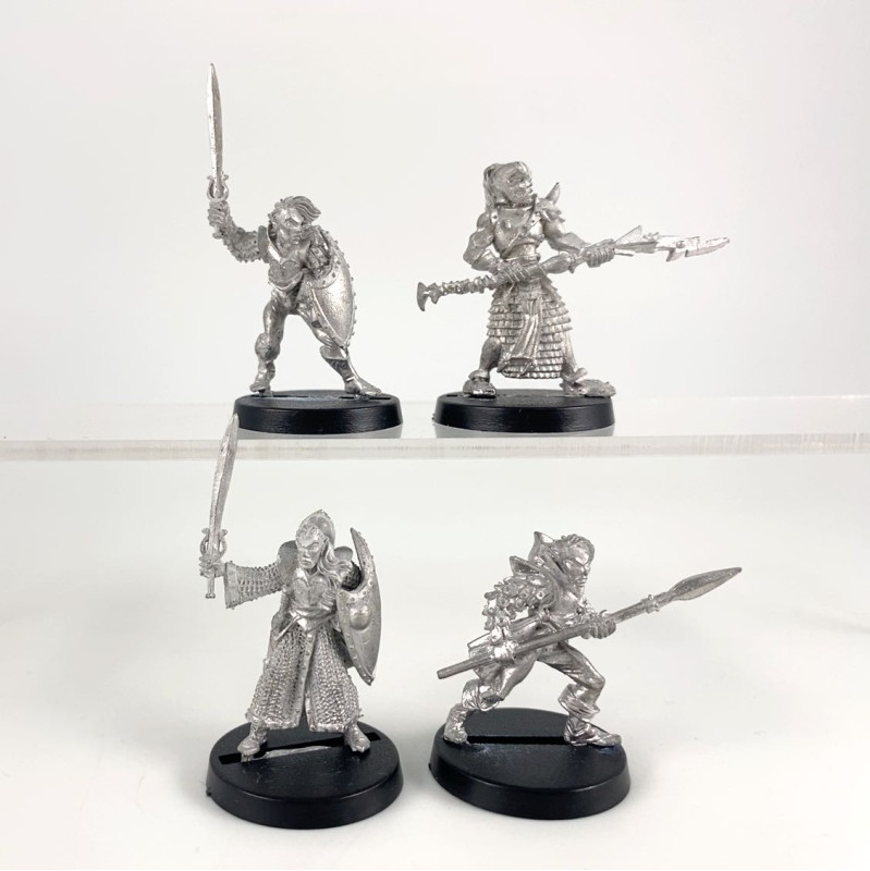 Guerriers Elfes