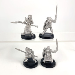 Elven Warriors
