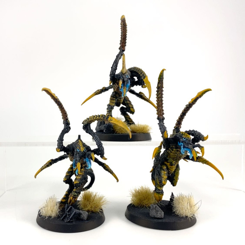 Von Ryan’s Leapers