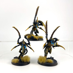 Von Ryan’s Leapers