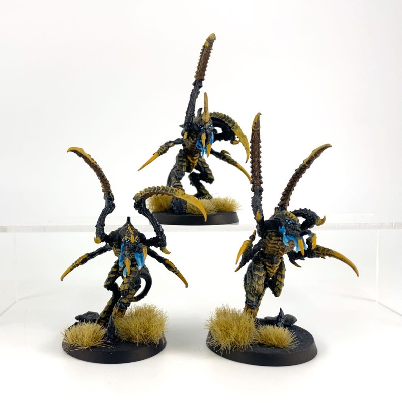 Von Ryan’s Leapers