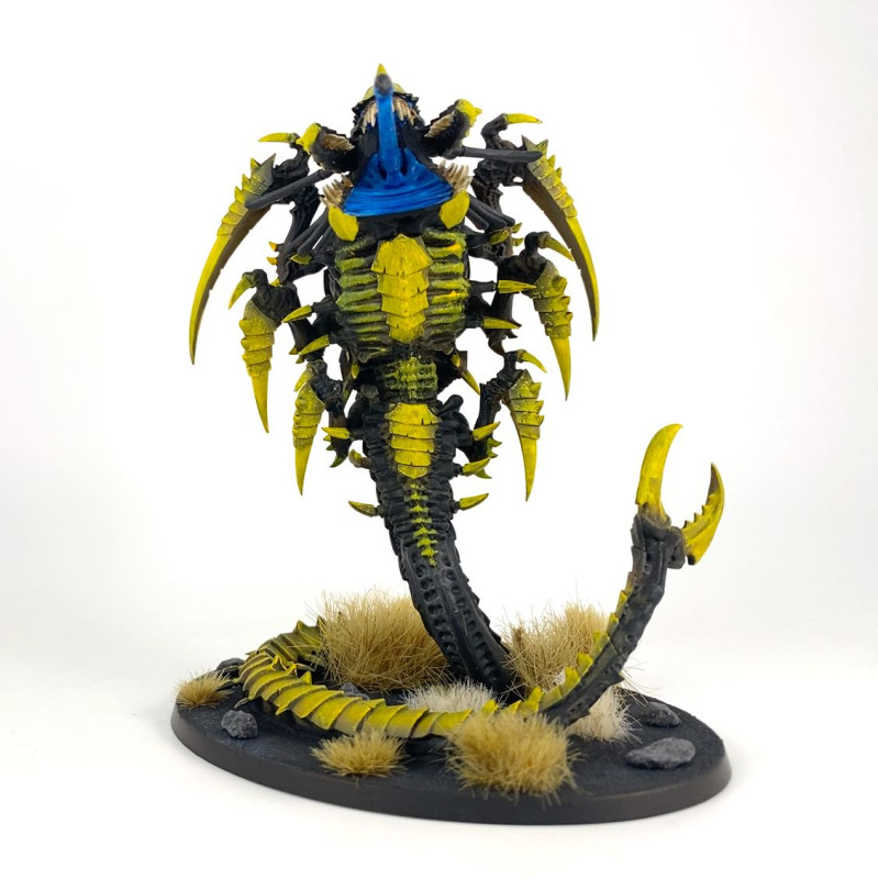 Trygon