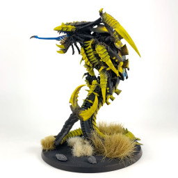 Trygon