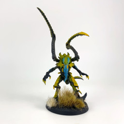 Lictor