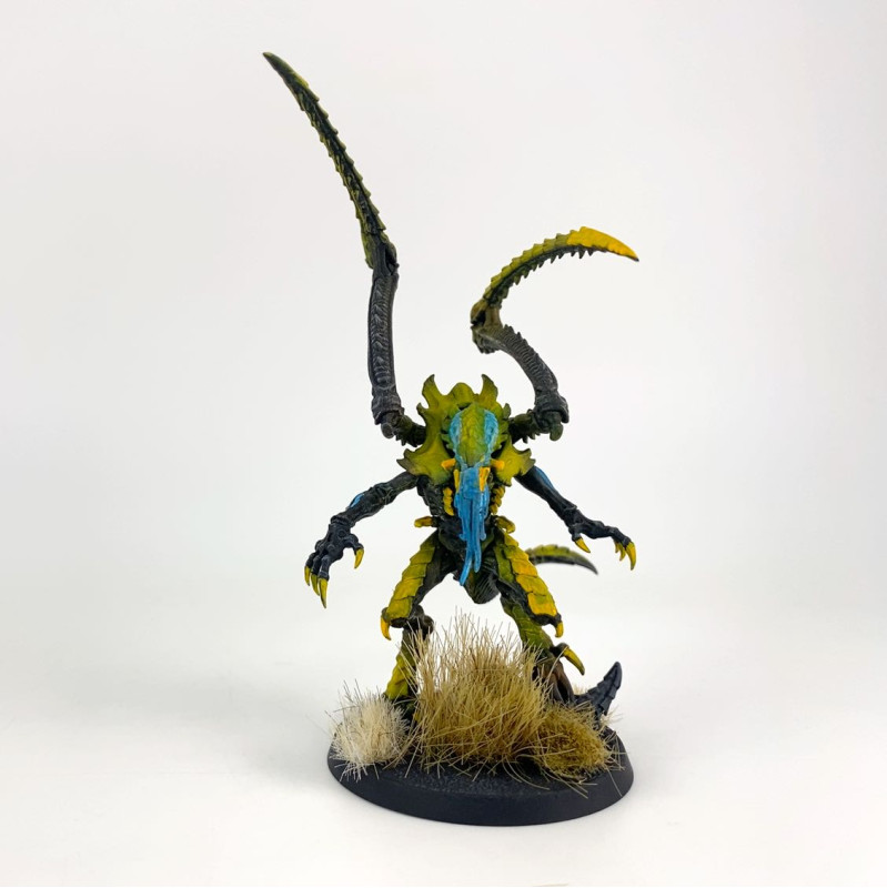 Lictor