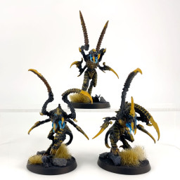 Bondisseurs de Von Ryan