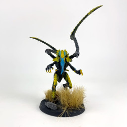 Lictor
