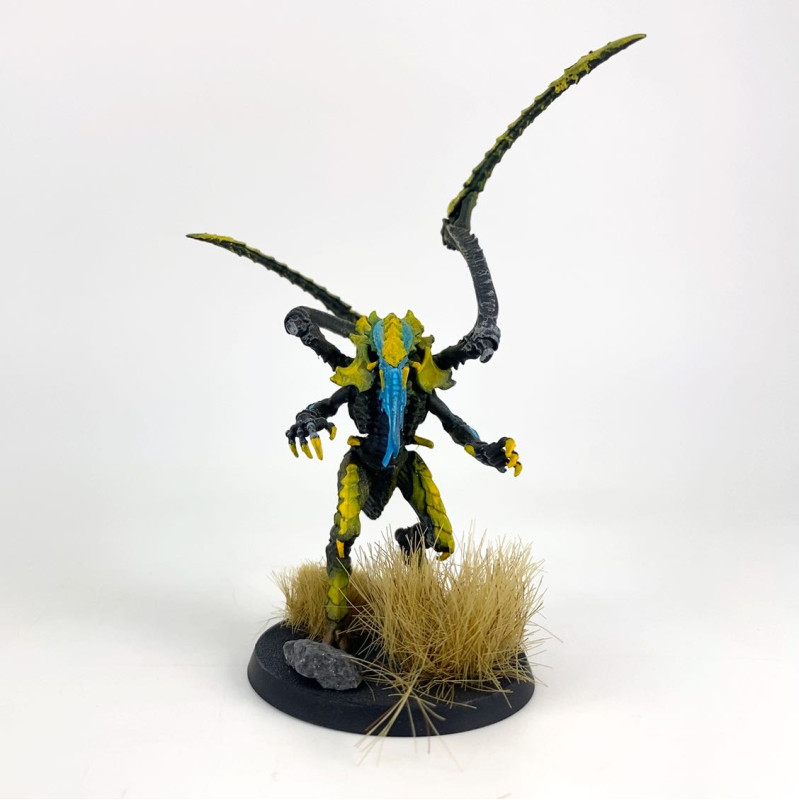 Lictor