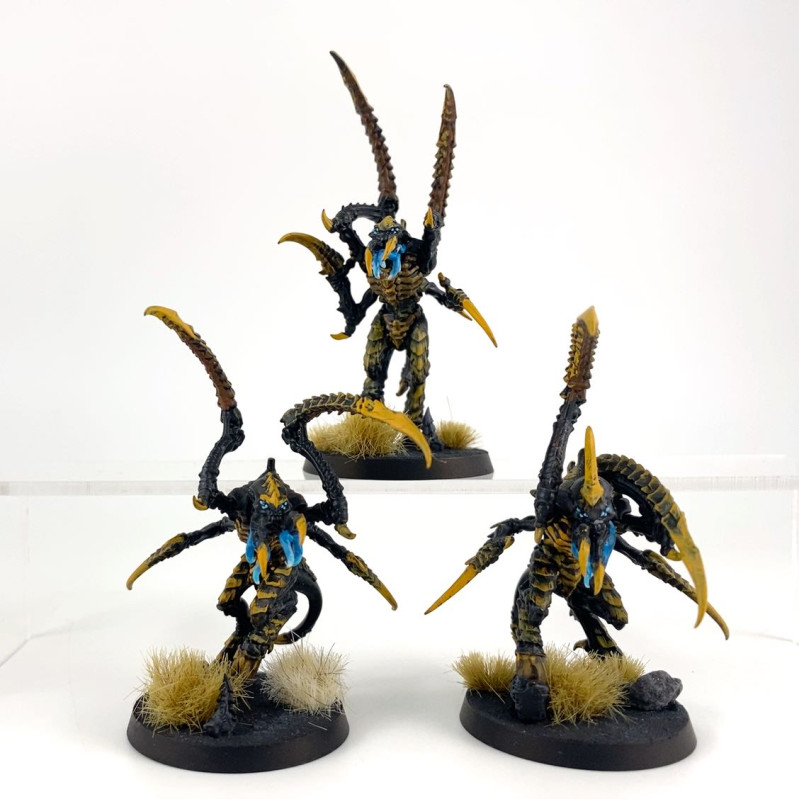 Bondisseurs de Von Ryan