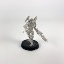 Panoceania Akalis Sikh...