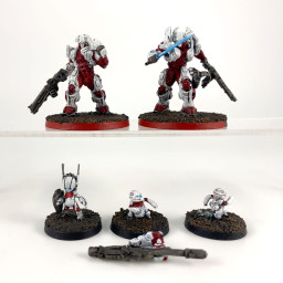 Taskmaster Bakunin SWAST Team