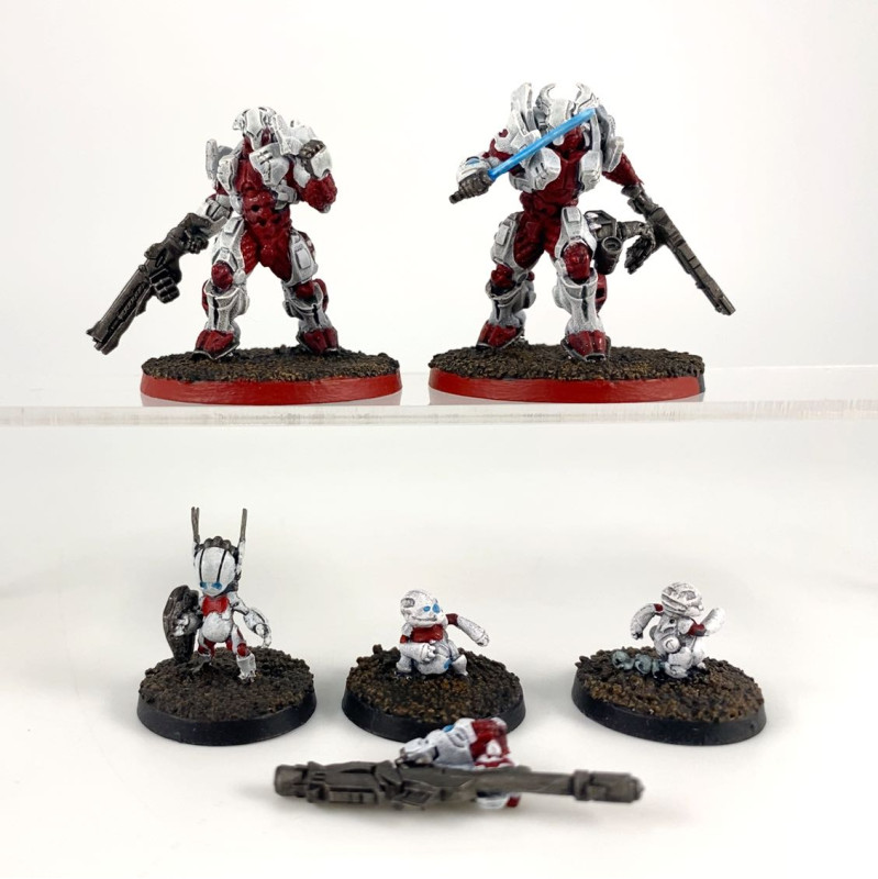 Taskmaster Bakunin SWAST Team