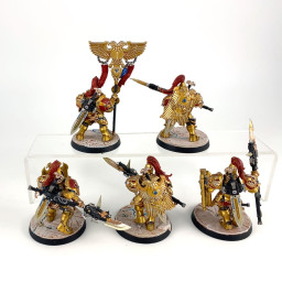 Custodian guards