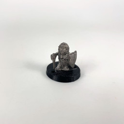 Dwarf Warrior