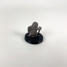 Dwarf Warrior