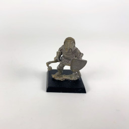 Guerrier Homme Lézard