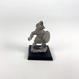 Guerrier Homme Lézard