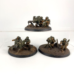 Cadian Heavy Weapon Squad