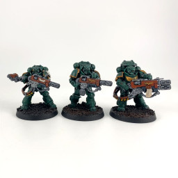 Primaris Eradicators
