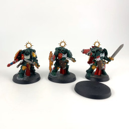 Bladeguard veterans conversion