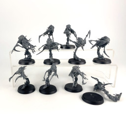 Dreadscythe Harridans