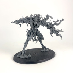 Drycha Hamadreth