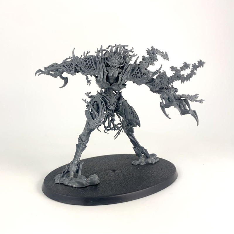 Drycha Hamadreth