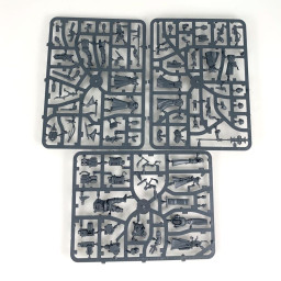 Inquisitorial Agents