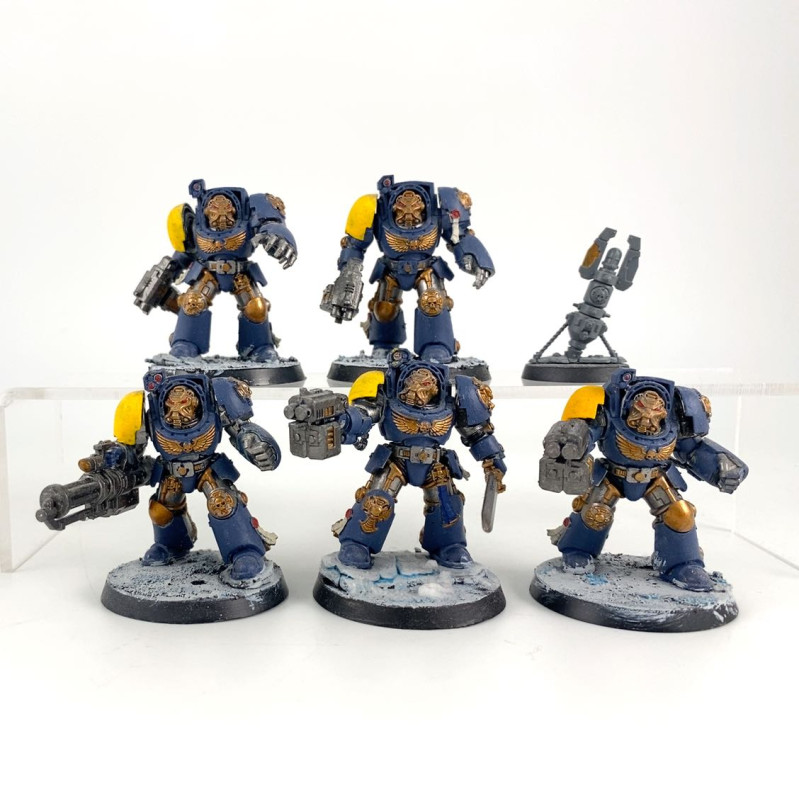 Terminator Squad