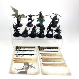 Warcrow : Syenann Action Pack