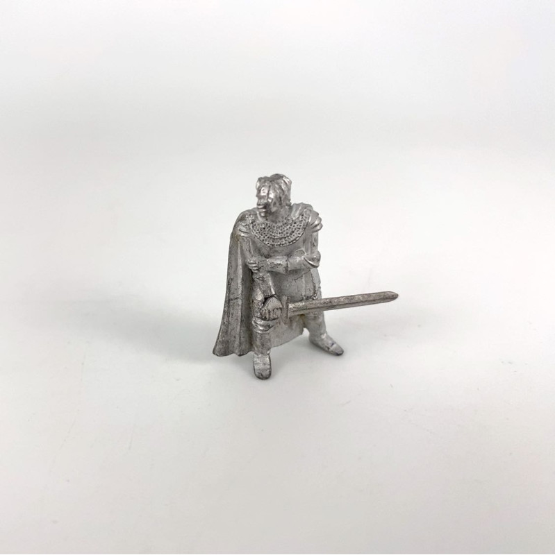 Chevalier blessé