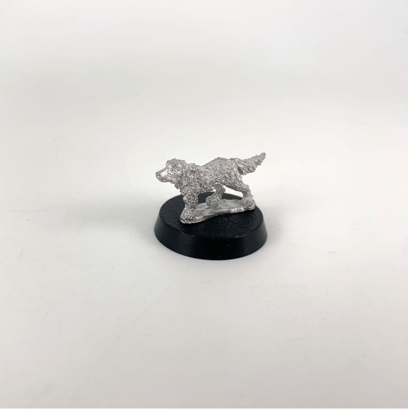 Dog