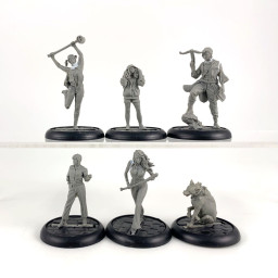 BMG: Birds Of Prey incomplet