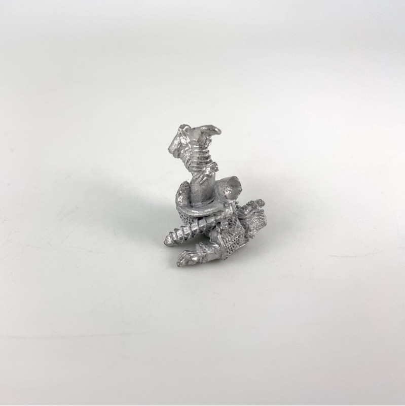 Warrior on the ground