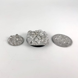 Insects and other creatures