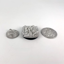 Insects and other creatures