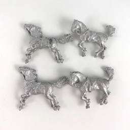 Horses on the ground