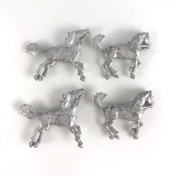 Horses on the ground