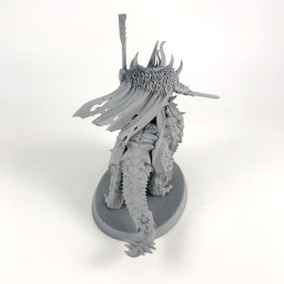 Chaos lord on Karkadrak