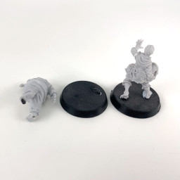 Pirate fantasy football team