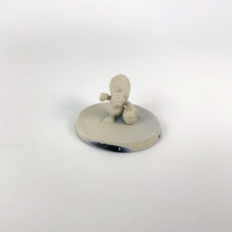 Squirrel - fantasy football