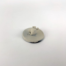 Squirrel - fantasy football