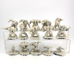 Equipe orc pirate - fantasy...