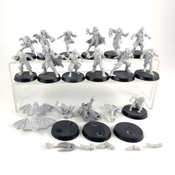 Equipe Vampire pirate -...