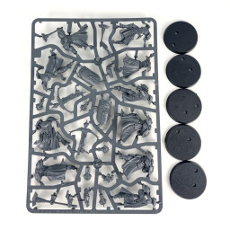 3 Sequitors + 2 Castigators