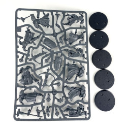 3 Sequitors + 2 Castigators