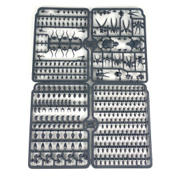 x340 Citadel Skulls sealed box